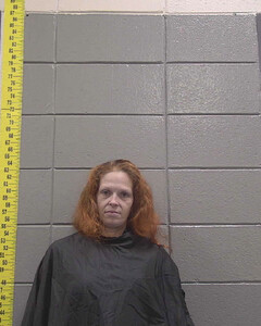 Mugshot of PETERS, ASHLEY  